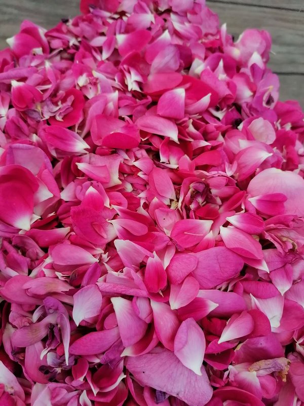 Blütenaufstrich Rosenrot - Rosenblüte
